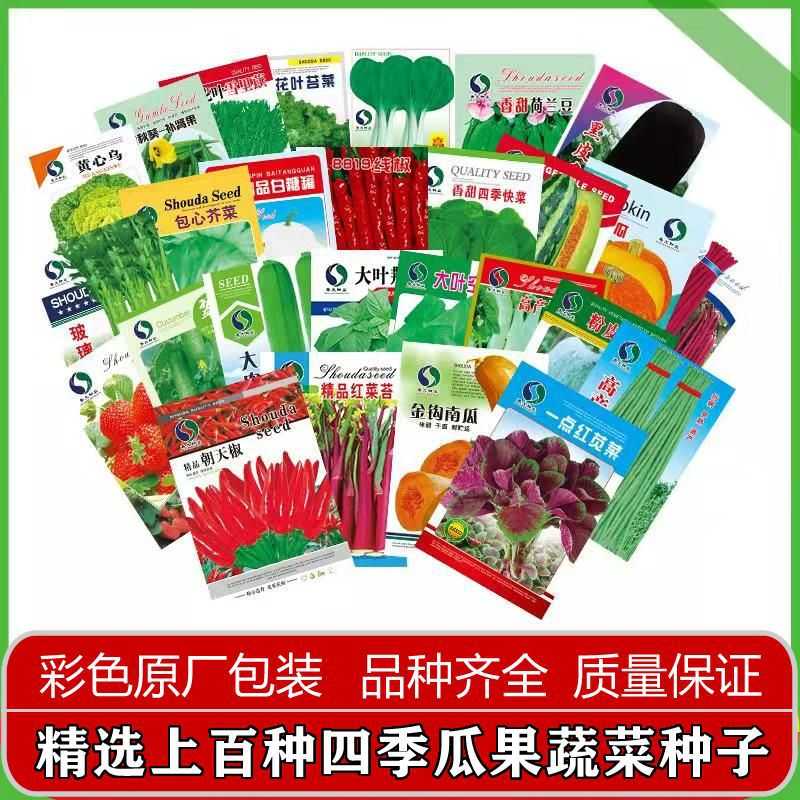 十月耐寒种蔬菜种子直销四季菜种子大量地摊上海青小葱香菜生菜籽