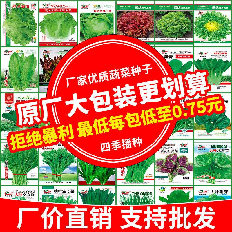 四季蔬菜种子大全春秋阳台盆栽菜园茼蒿生菜小葱香菜韭菜快菜种子
