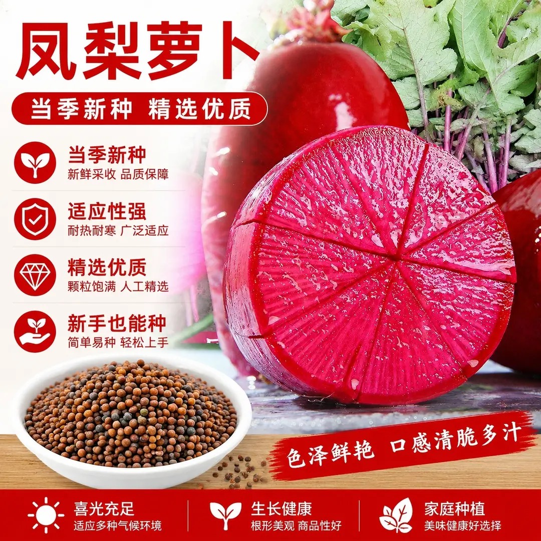 凤梨萝卜种子水果萝卜种籽紫色生吃炒菜红心脆甜沙窝萝卜蔬菜种子