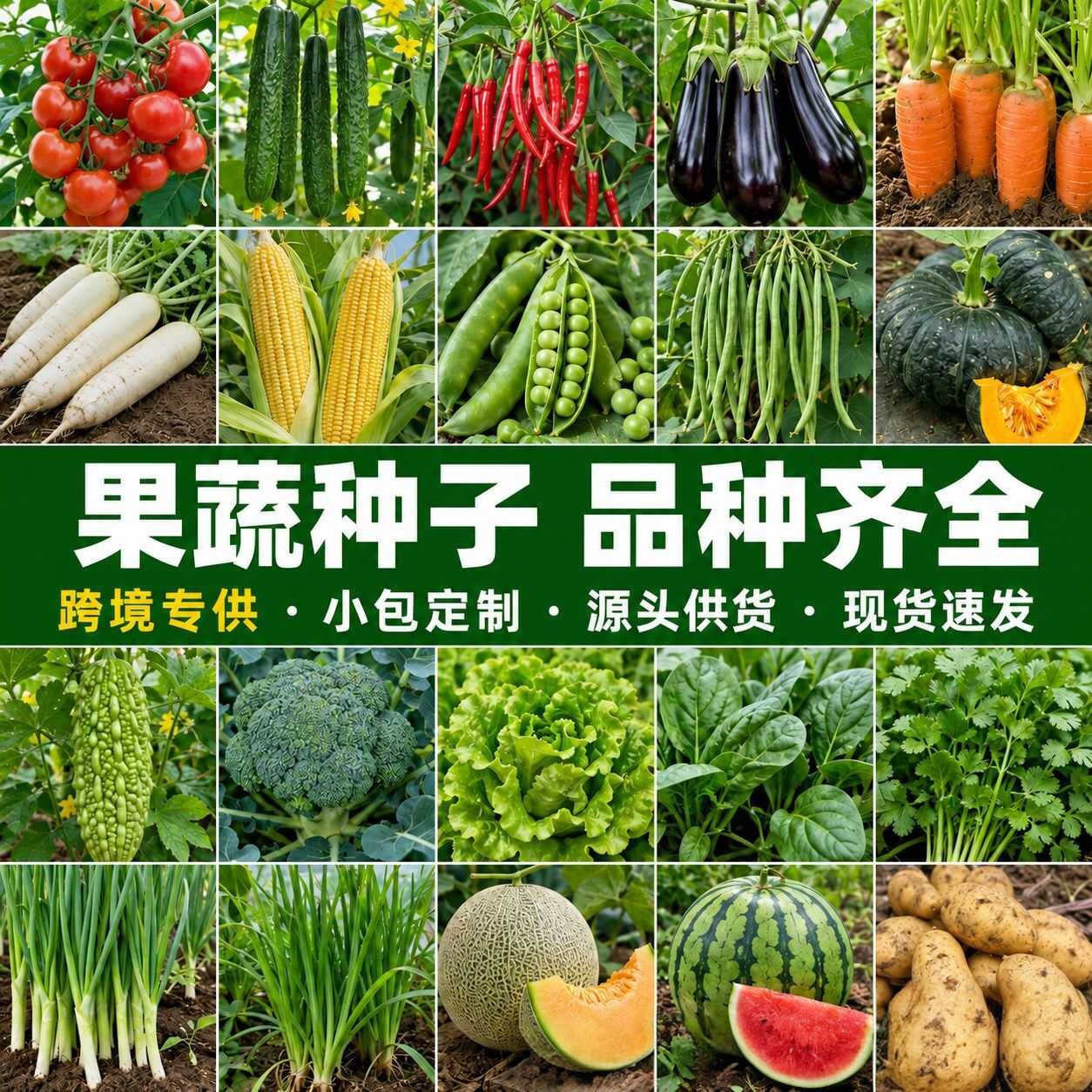 四季蔬菜种子易活室内外阳台庭院播种香菜生菜草莓辣椒菜种子大全
