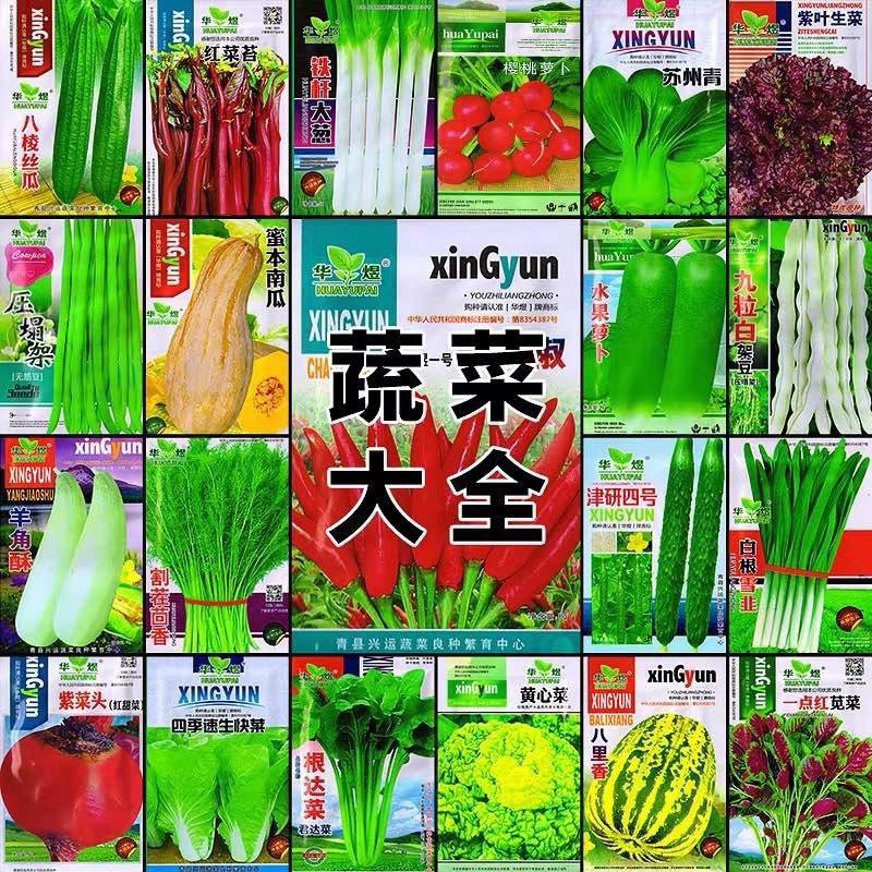 四季蔬菜种子菜种萝卜辣椒黄瓜茄子豆角番茄瓜果蔬菜种孑籽种大全