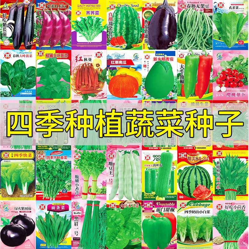 四季蔬菜种子大全春季家庭菜园空心菜番茄黄瓜南瓜辣椒水果菜种子