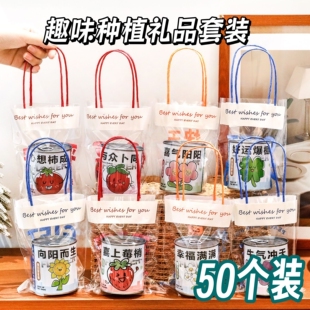 袋装 感小礼品幼儿园生日小礼物 种植盲盒小盆栽创意小学生开学仪式