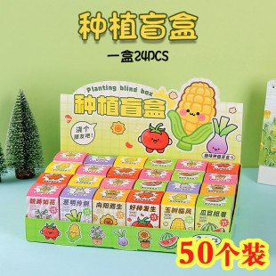 种植植物盲盒幼儿园手工礼小学生实用全班奖励礼品奖品开学仪式感