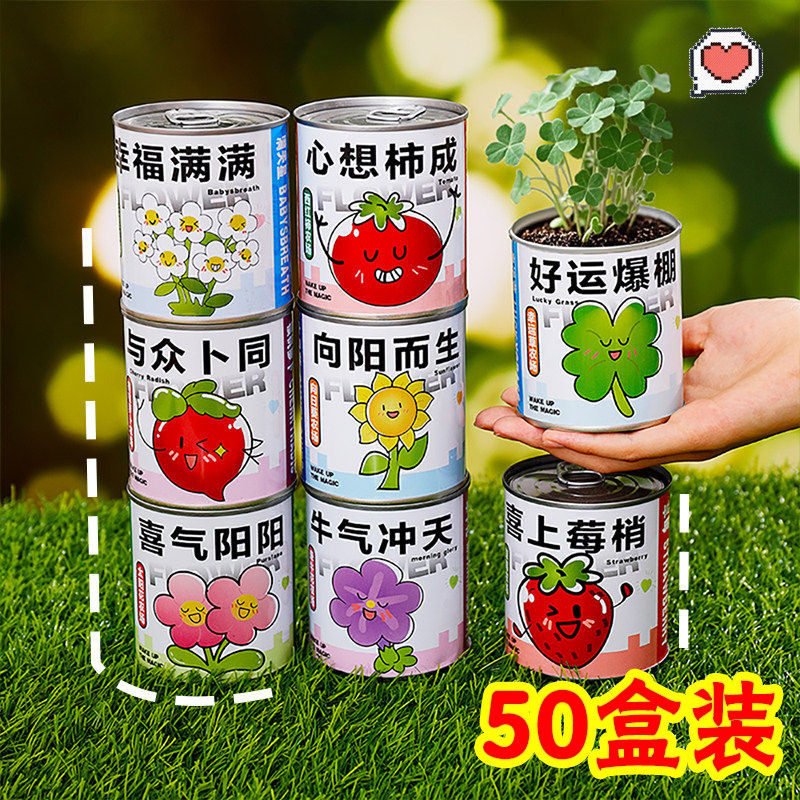 罐装种植盲盒盆栽绿植种子奖品实用小学生奖励义卖礼物幼儿园礼品,节庆用品/礼品,创意礼盒/礼品套组,淘宝优惠券,粉丝福利购,淘宝优惠卷