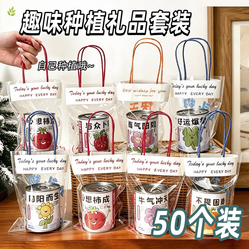 种植盲盒小盆栽创意小学生奖励奖品义卖小商品礼品幼儿园生日礼物