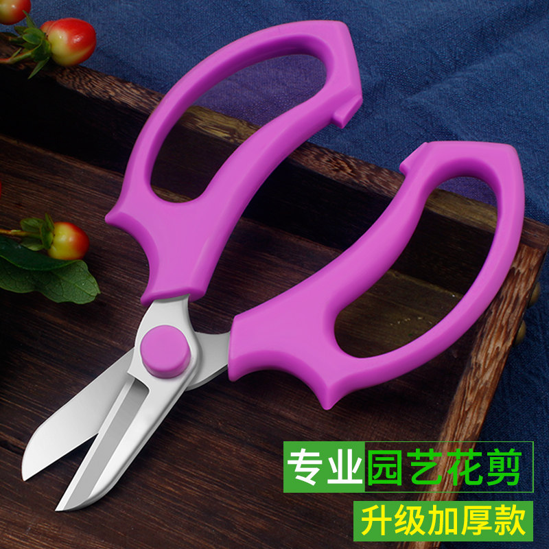 农用花艺剪子剪刀专用园艺花剪剪鲜花树枝园林专用户外插花家用,居家日用,家用剪刀,淘宝优惠券,粉丝福利购,淘宝优惠卷