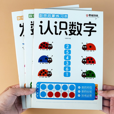 数学感知启蒙教具练习册思维训练游戏幼小衔接加减法培养数学能力
