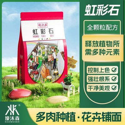 壕沐森多肉兰花全颗粒虹彩石垫底