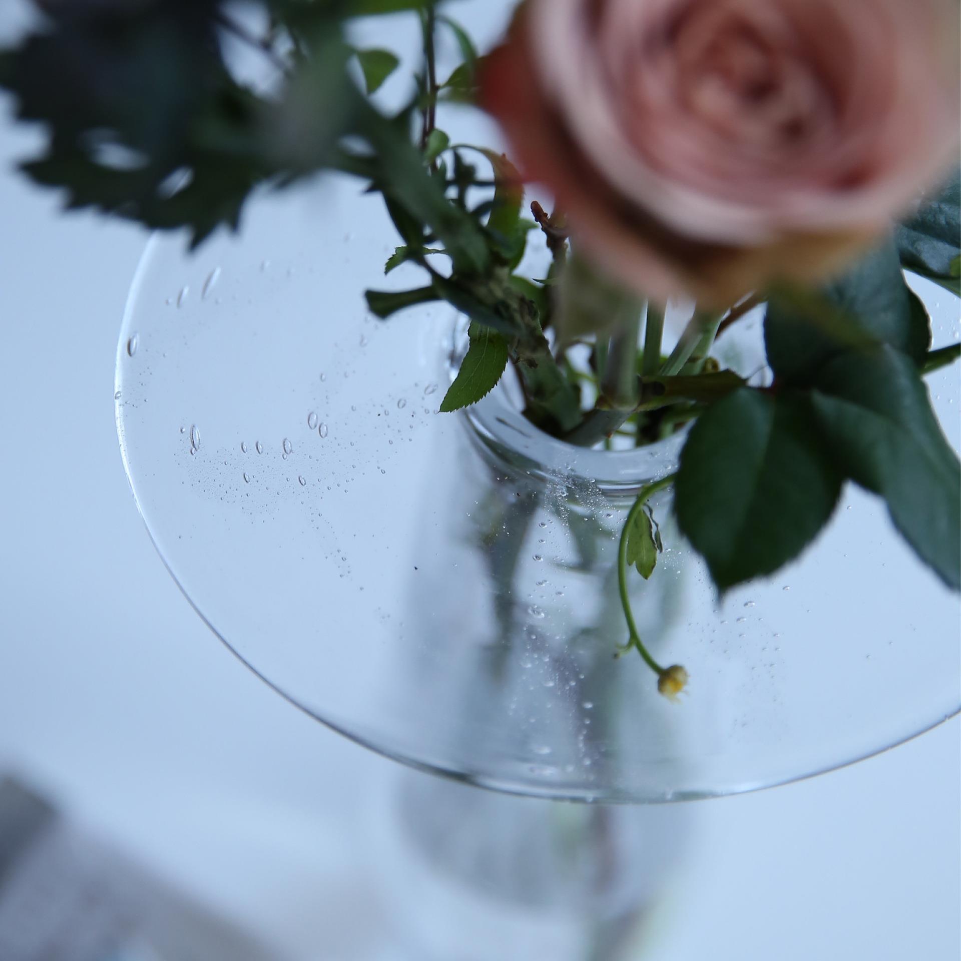 玻心璃语|非白宽边长颈花器 钠钙玻璃 茶室摆件 手工匠人创意花器