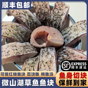 微山湖新鲜草鱼块鱼身切块红烧瓦块鱼花鲢鱼块鱼头鱼排鱼中段顺丰