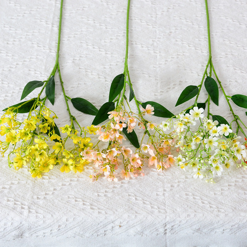 3叉瑞香花清新小碎花田图片