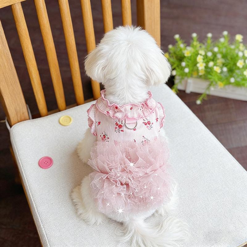 狗狗衣服夏季薄款可爱公