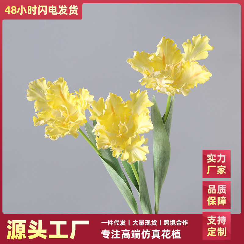 仿真花单枝鹦鹉郁金香3D