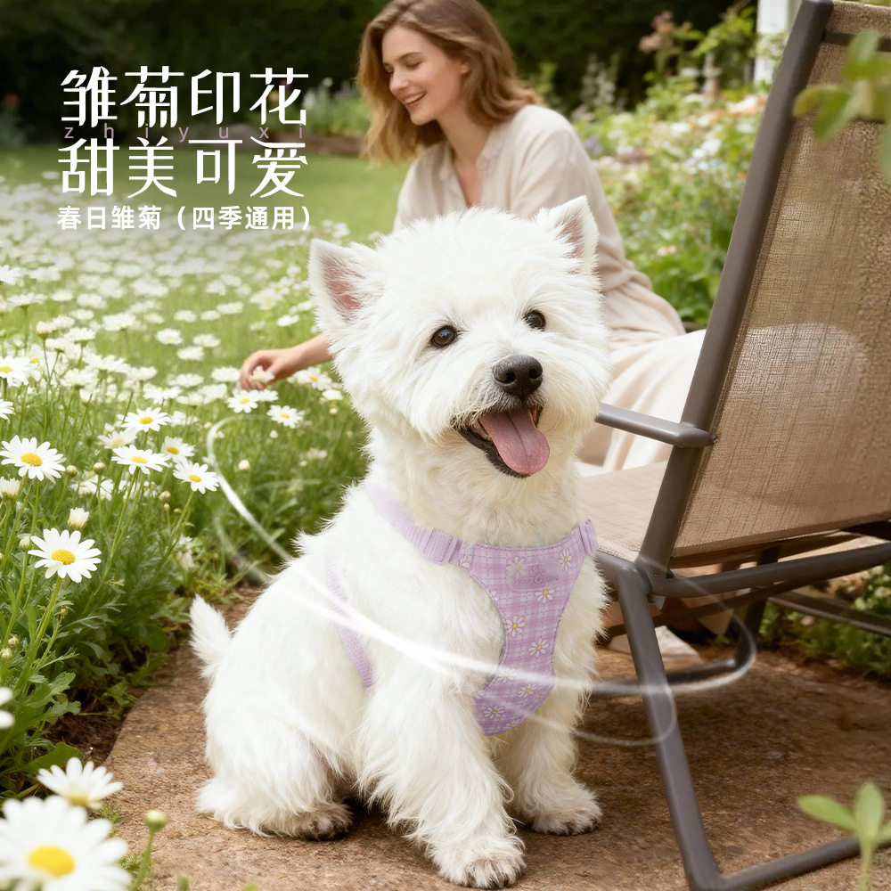 狗狗雏菊胸背带小型犬牵