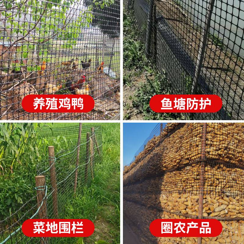养鸡围栏网户外护栏栅栏防护养殖隔离网围墙围网塑料玉米网格拦网
