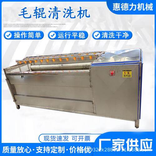 全自动毛刷土豆清洗机 毛辊红薯黄精清洗去皮机 工业大型洗姜机