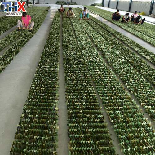 跨境防伪航拍伪网 装饰装迷彩户外 遮阳网CGR防航拍 网丛林迷彩装