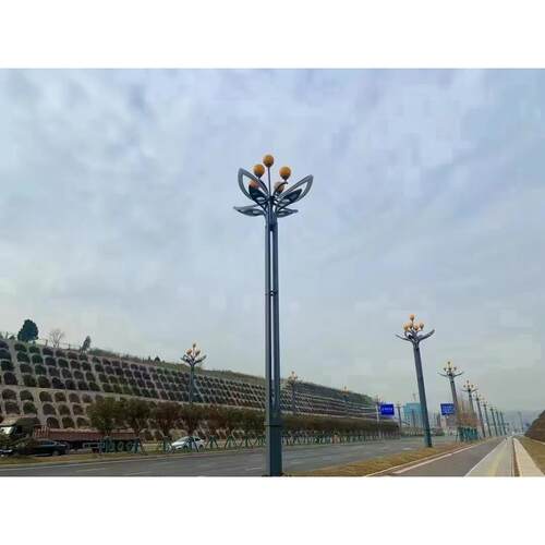 艾米乐壹迪玉兰灯中华灯景观灯灯8高广杆组合灯户场AKE外庭院室外