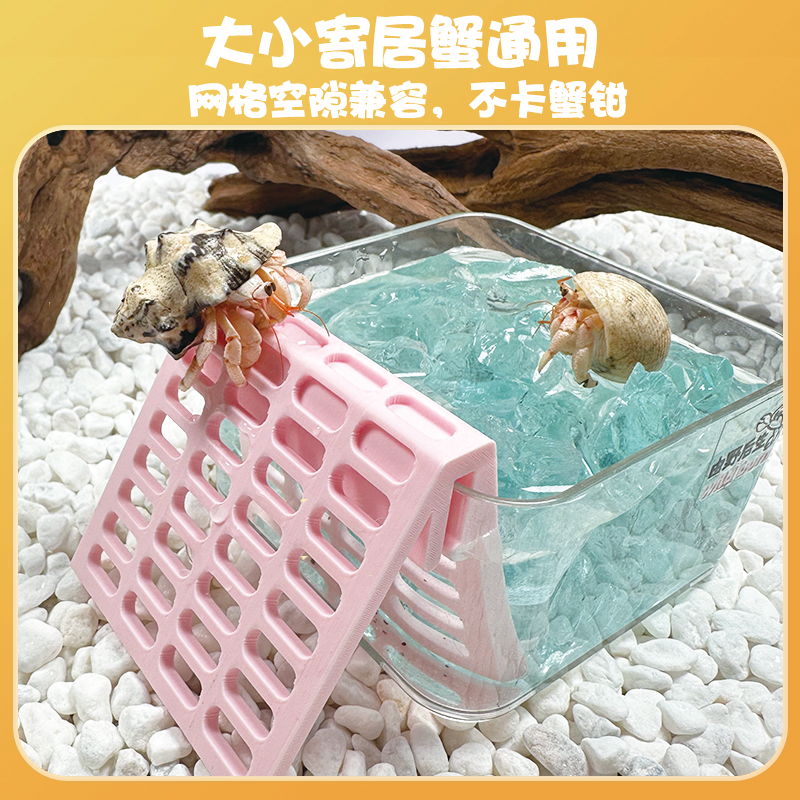 由野后生寄居蟹3D爬梯泡澡盆淡海水可用亚克力防倾倒易清洗防溺水,宠物/宠物食品及用品,爬宠清洁及日用品,淘宝优惠券,粉丝福利购,淘宝优惠卷