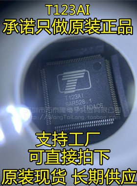 宏芯/TERAWINS T123AI 屏驱动芯片/车载芯片 LQFP128 原装现货