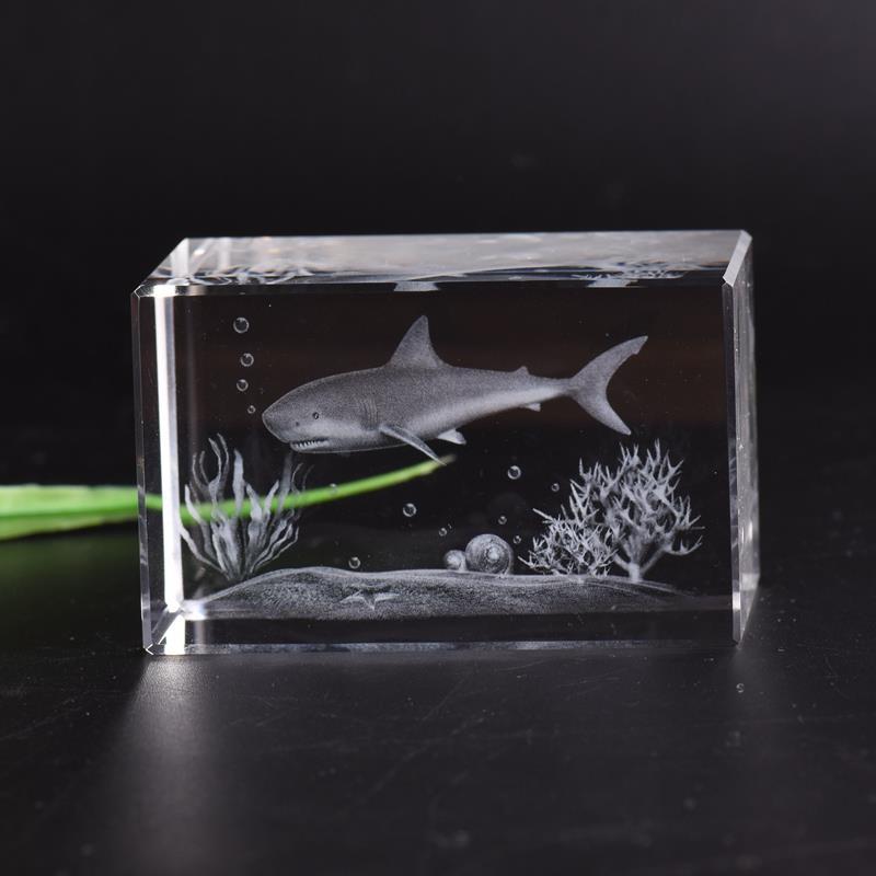 鲨鱼标本摆件水晶内雕送女友情侣生日创意礼物海洋动物模型送同学