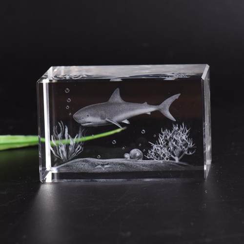 鲨鱼标本摆件水晶内雕送女友情侣生日创意礼物海洋动物模型送同学