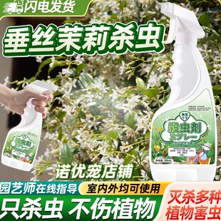 垂丝茉莉花驱虫小白虫海棠杀虫剂垂死去虫白粉虱专用药长虫非杀菌
