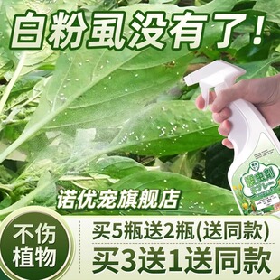 白粉虱杀虫剂花药专用药治粉虱专杀喷雾杀专灭净除防治喷剂克星虫