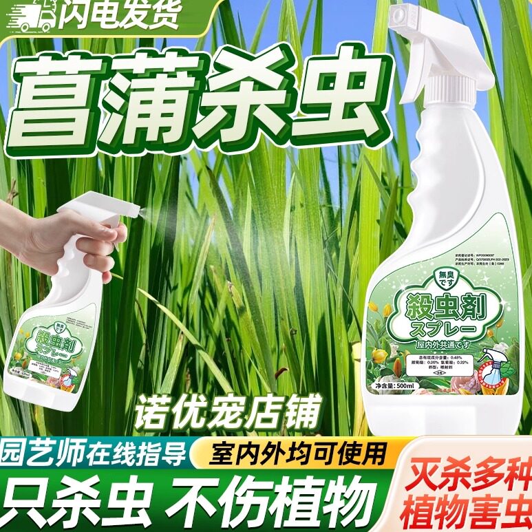 菖蒲杀虫剂长虫驱虫专用药除虫杀红蜘蛛喷雾蚜虫花卉腻虫芽虫治蜜