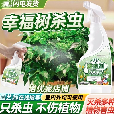 幸福树杀虫剂害虫灭杀神器克星