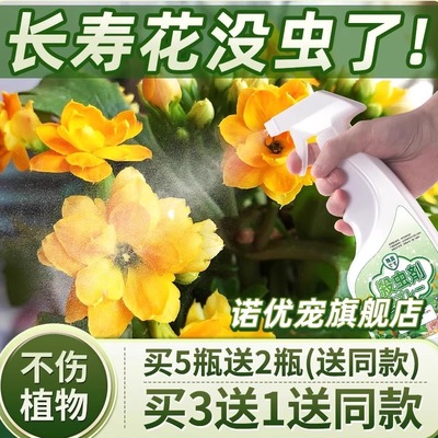 适用长寿花害虫灭杀神器克星杀虫