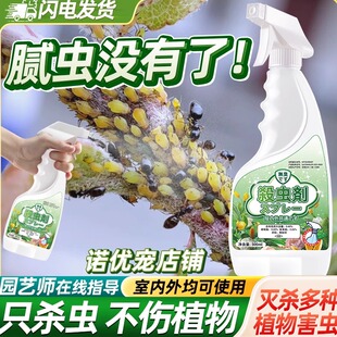 治预防腻虫蚜虫一扫光祛室内杀虫剂防治专用药去除喷剂消蜜虫芽虫