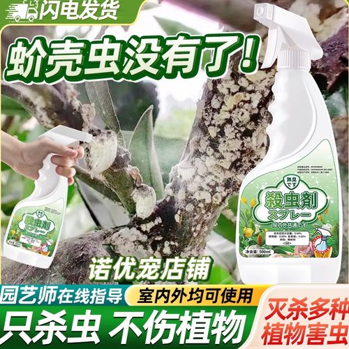 灭杀蚧壳虫杀虫剂喷雾神器克星