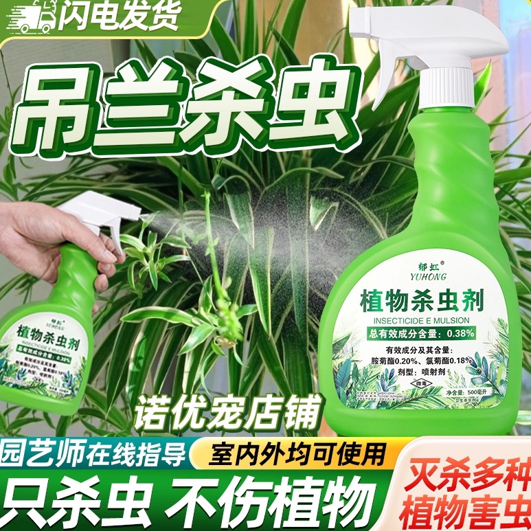 吊兰杀虫剂除虫打虫药不伤植物