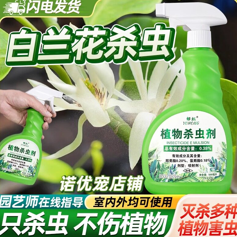 白兰花专用药杀虫剂墨兰除虫花生驱虫长虫蚧壳虫打虫害治虫药吊兰