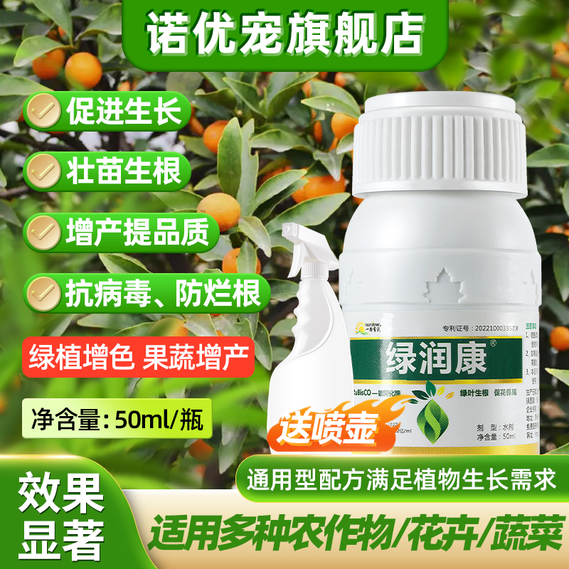 柑橘生根液激活生根壮苗