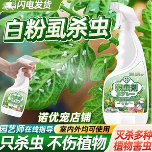 白粉虱杀虫剂花药专用药治粉虱专杀喷雾杀专灭净除防治喷剂克星虫