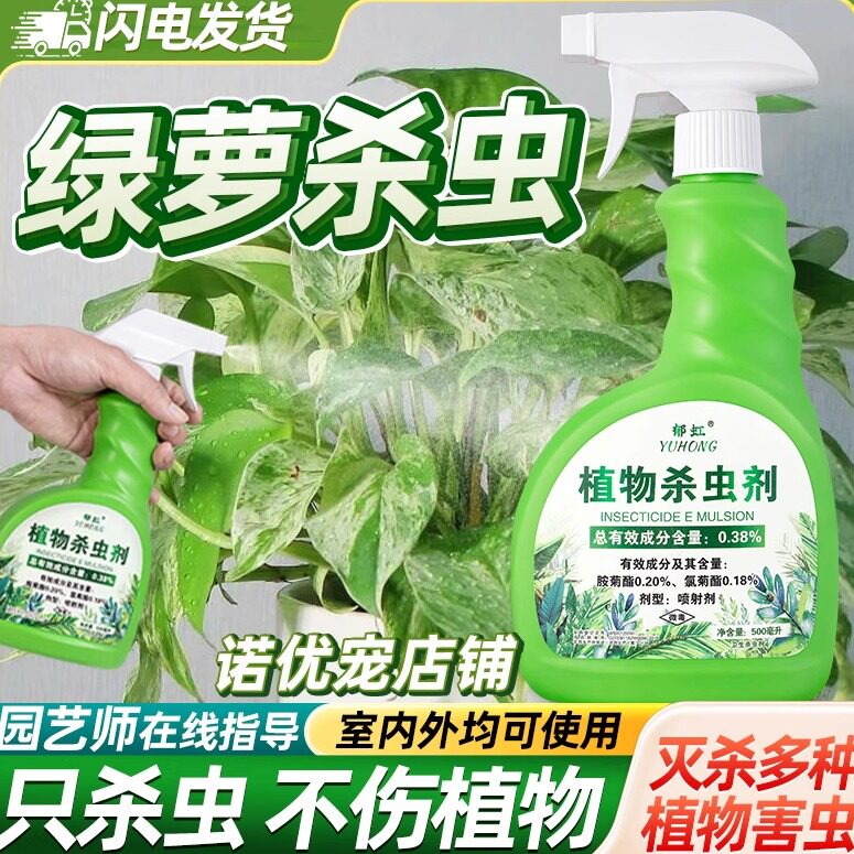 绿萝杀虫剂绿箩除虫小飞虫驱虫打虫药小黑飞长虫生专用喷剂灭虫子