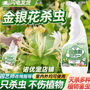 金银花专用药杀虫剂花生金银驱虫用药长虫除虫子虫树防虫灭打腻虫