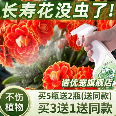 适用长寿花密虫杀虫灭杀神器克星