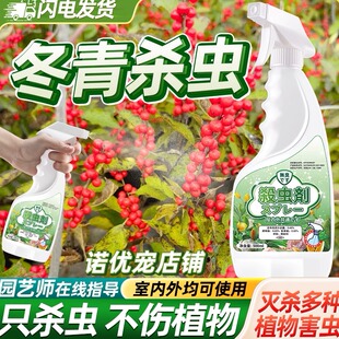 冬青杀虫剂除虫药虫害长虫专用药驱虫蚜虫喷雾虫花卉白粉虱治粉虱