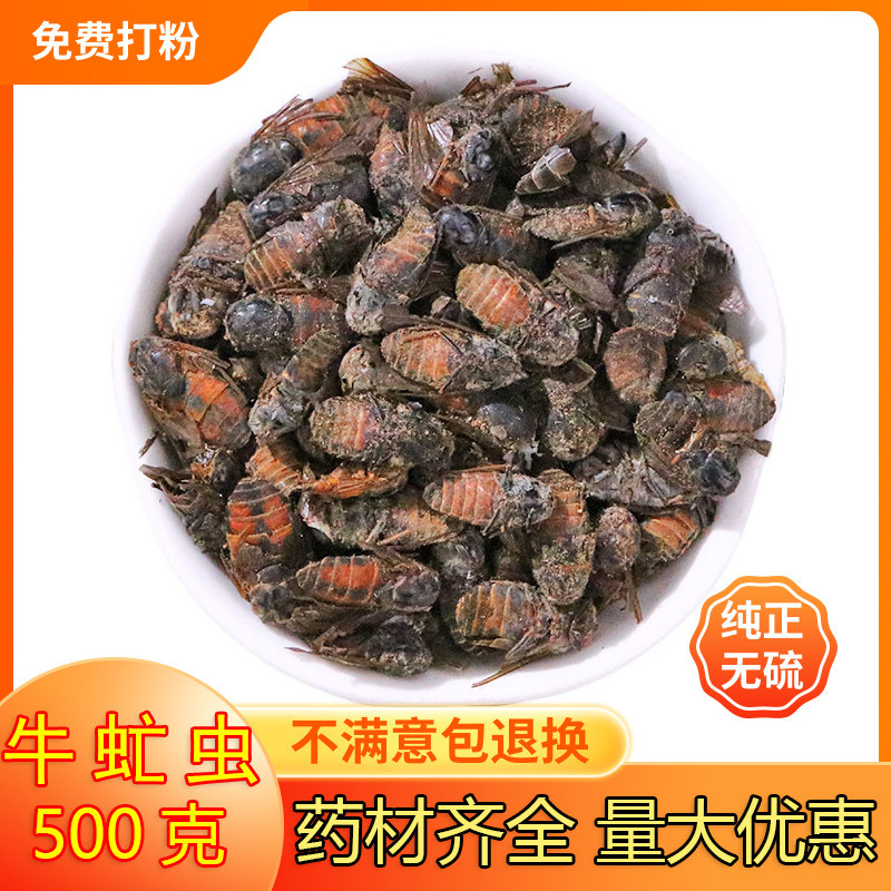 牛虻虫正品原料抵挡丸吸血水蛭大个牛虻虫大黄桃仁抵当汤中药材