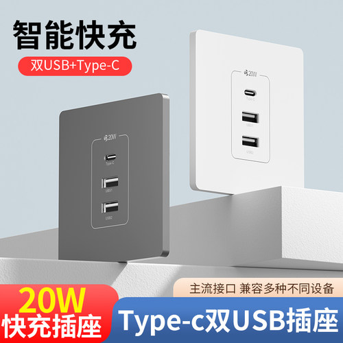 国际电工86型USB手机充电面板