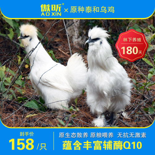 傲昕礼盒泰和正宗原产地原种乌鸡