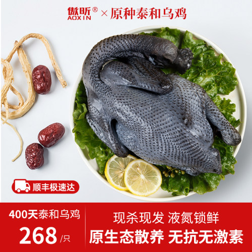 傲昕袋装泰和泰和乌鸡鸡肉原种鸡