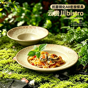 网红餐厅云贵川bistro草帽盘创意深盘冷菜盘商用九秒牛肉干冰盘子