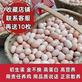 50枚今日送10枚正宗九华山林散养初生蛋开窝蛋宝宝聪明蛋蛋放心蛋