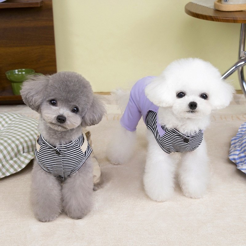 宠物狗狗四腿裤宠物狗居家服衣服春夏新款25立体口袋四腿裤短袖,宠物/宠物食品及用品,狗宠物服装/雨衣,淘宝优惠券,粉丝福利购,淘宝优惠卷