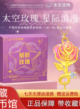 中国航天星辰玫瑰项链陨石吊坠